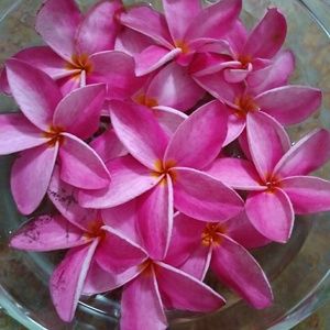 Meet your Posher, Sunni